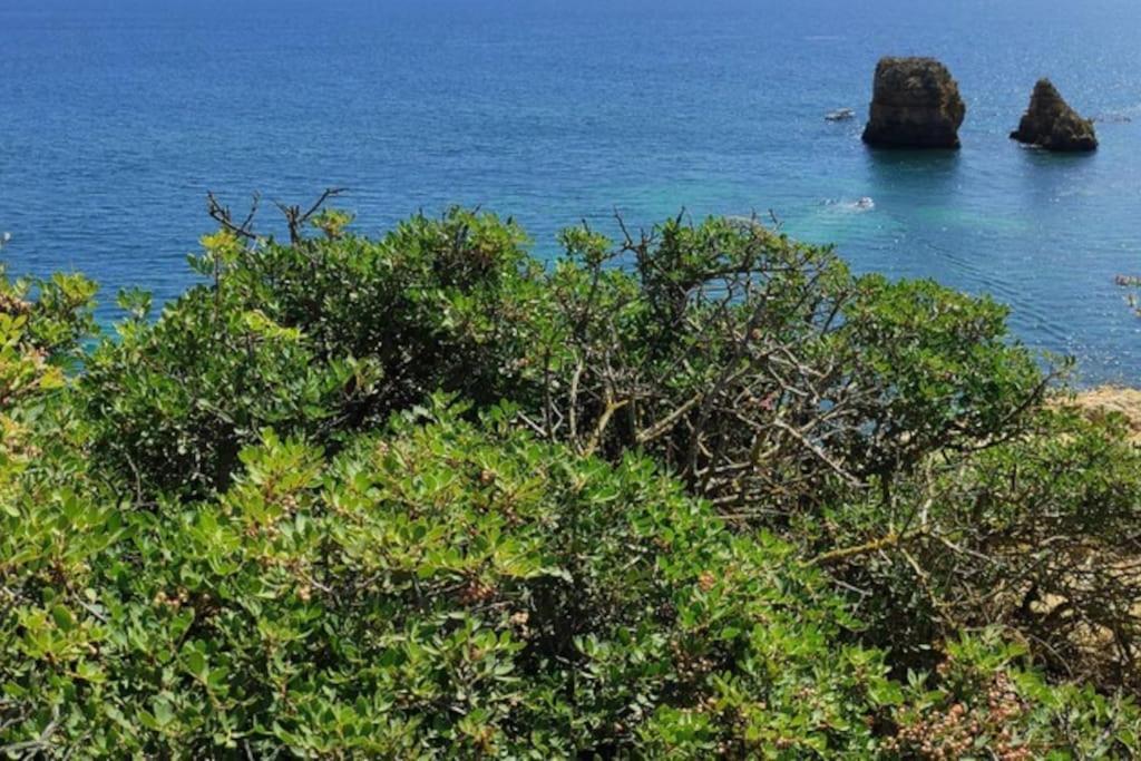 Appartamento Au Coeur D'Olhão Esterno foto